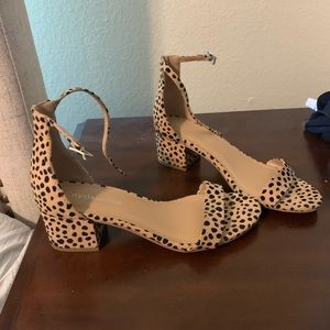Cheetah shoes
